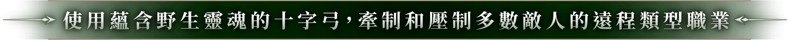 使用蘊含野生靈魂的十字弓，牽制和壓制多數敵人的遠程類型職業使用蘊含野生靈魂的十字弓，牽制和壓制多數敵人的遠程類型職業